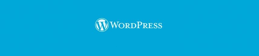 Wordpress, un blog pour parler de votre activité